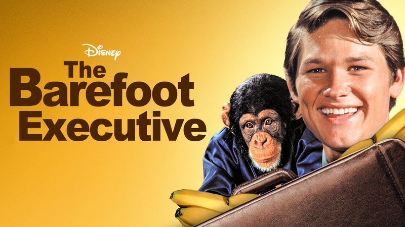 Kurt Russell and a Chimpanzee in Disneys Barefoot Executive Rental