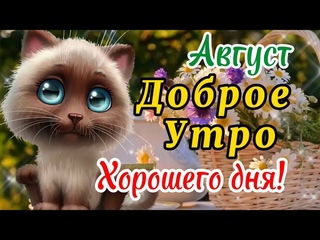 ДОБРОЕ УТРО 17 Августа! Позитивное Пожелание с Добрым Утром Красивая Музыкальная Открытка