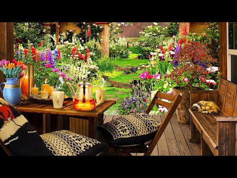 Cozy Porch in Spring Garden Ambience with Piano Music and Bird Sounds for Study and