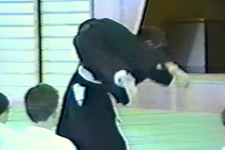 5th World Congress of the Aikido Federation, hosted in Tanabe in 1988. Sadateru Arikawa