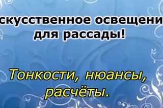 КАК ПРАВИЛЬНО ПОДСВЕТИТЬ РАССАДУ. ТОНКОСТИ, НЮАНСЫ И РАСЧЁТЫ МОЩНОСТИ ЛАМП.