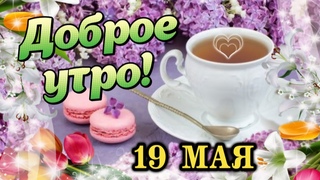 С Добрым Утром! 🌺 Желаю прекрасного дня! Красивые пожелания Доброго Утра 🌸 Открытка