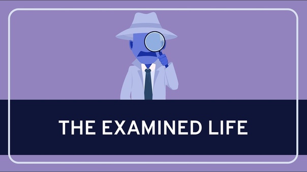 The Examined Life: Know Thyself, 1, WIRELESS