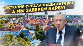 Эстония доигралась: В России предложили лишить ее Нарвы за конфискацию активов