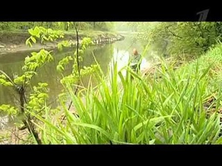 Остров декабристов