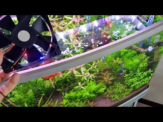 Самодельное автоматическое охлаждение воды в аквариуме своими руками!