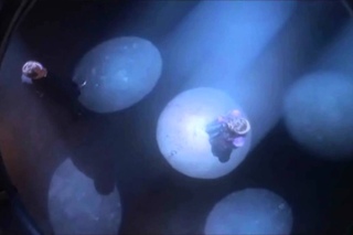 Babylon 5 - All about Vorlons