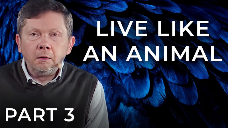 How to Stop Worrying About Things That Never Happen, Eckhart