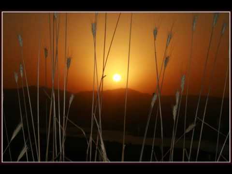 Behzad Aghabeigi Strings of