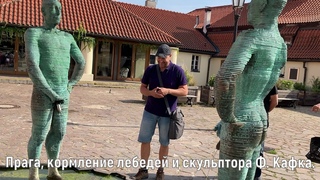 Прага, кормление лебедей и скульптора Ф. Кафка.