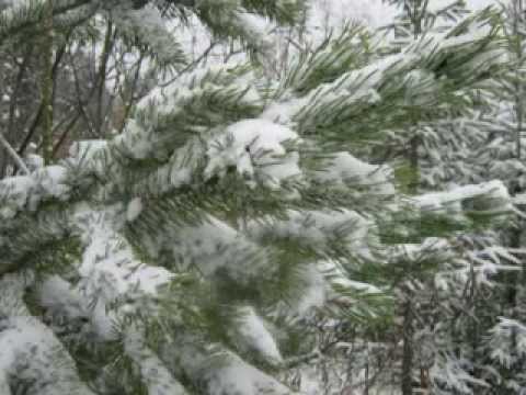 Серебряная мелодия зимы. Silver melody