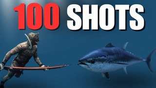 TOP 100 SPEARFISHING SHOTS - Pesca Submarina