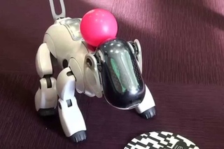 sony aibo