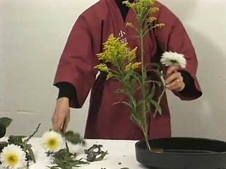 Ikebana - Arts floral japonais