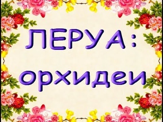 ЗАВОЗ прекрасных ОРХИДЕЙ в ЛЕРУА,,Самара,ТЦ “Космопорт“.
