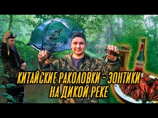 СКОЛЬКО ЖЕ РАКОВ В ЭТОМ РУЧЬЕ? Оставил КИТАЙСКИЕ РАКОЛОВКИ НА ЧАС ! Запускаем РАКОВ в свое ОЗЕРО !