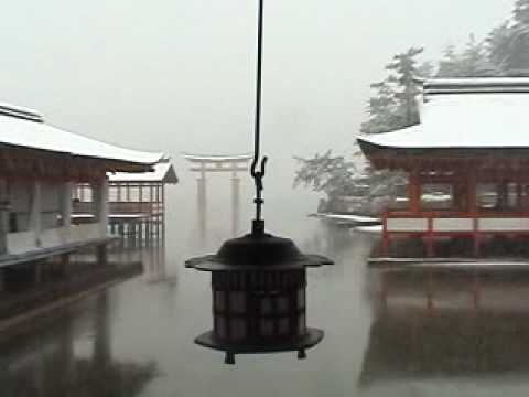 Snowy Miyajima with Hiroe Morikawa koto
