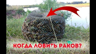 В каких водоёмах ловятся раки