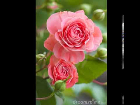 Jose Carreras,