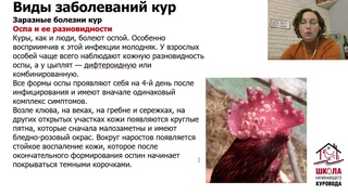 Заразные и незаразные болезни кур. Глисты у кур.