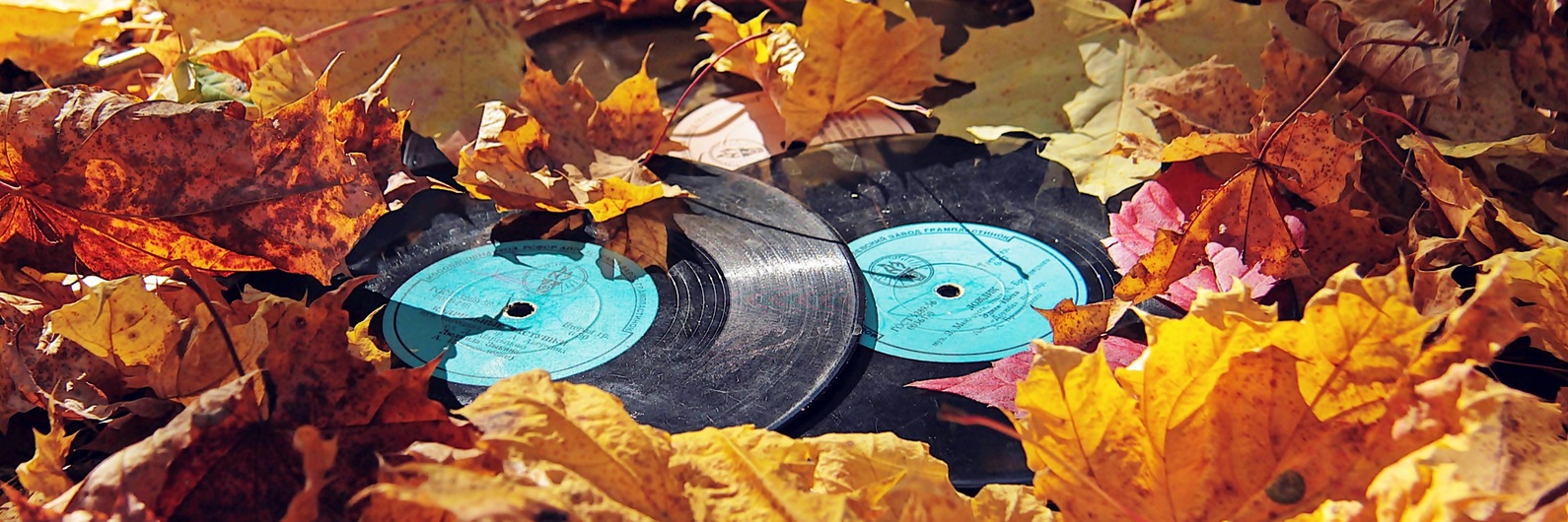 Пианино и осенние листья. Осеннее фортепиано. Гитара на фоне осенних листьев. Музыка осень листья. Скрипка осень.