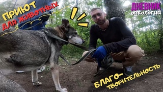 166 / Благотворительность / Еду в приют животных / Наконец таки это случилось / Рак крови /Онкология