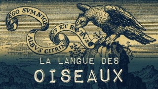La Magie de la Langue des oiseaux
