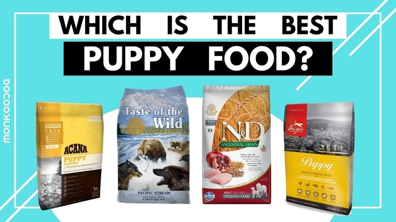 Which is the Worlds BEST Puppy food of 2021. II Dry Puppy food review ll