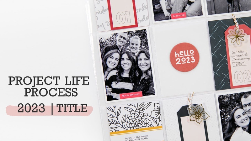 Project Life Process Video 2023, Title