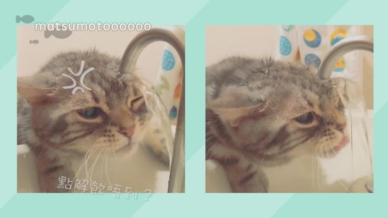 Симпатичное видео (приятного