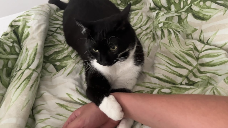 Youre not going anywhere,