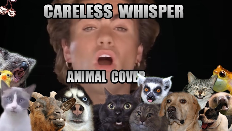 George Michael Careless Whisper ( Animal