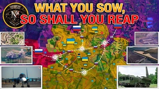 Harvest Time🔥 Vuhledar Is Done🎖 Ukrainsk Cauldron🎖 Lyubimovka Collapsed🎖 Military Summary