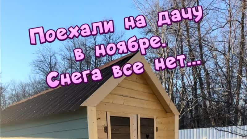 ВЫХОДНЫЕ НА ДАЧЕ В птиц и наслаждаемся хорошей