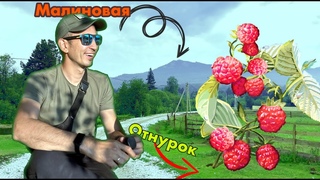 Поход на гору Малиновая. Отнурок. Белорецкий район.