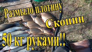 Рыбалка 2021 Скопинский район поймал много щуки и карпа руками