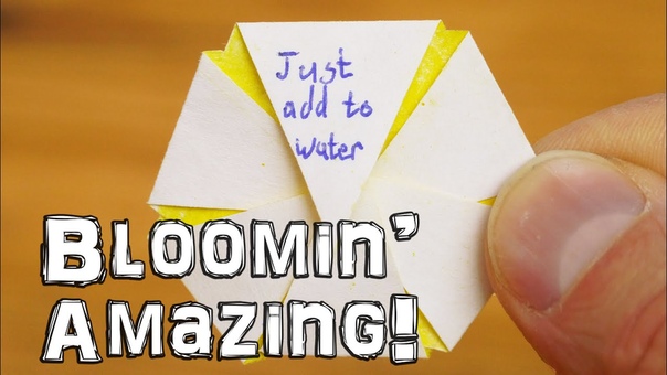 Just Add Water Blooming Flower