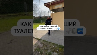 Как найти лучший туалет в Питере