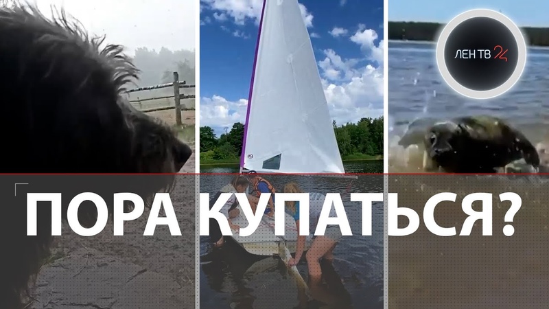 Наезд из 90х, Самокатчик залез под юбку, Пожар из за