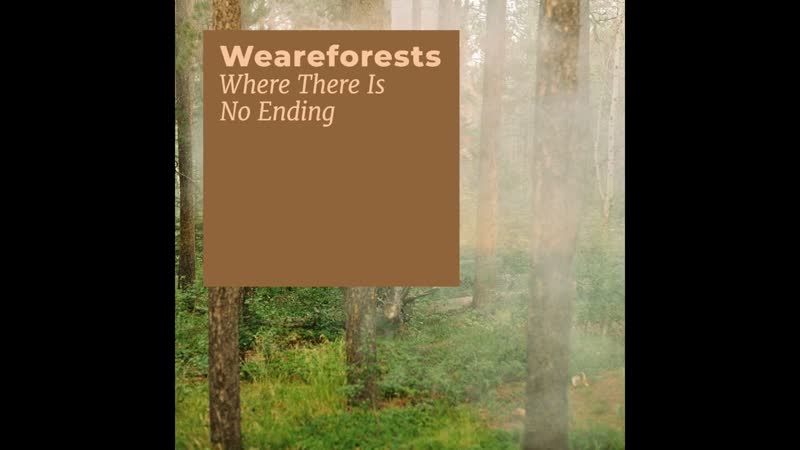 Weareforests Where There Is No Ending