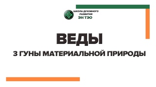 3 гуны