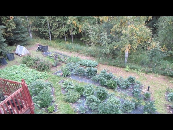Fairbanks, August 29,