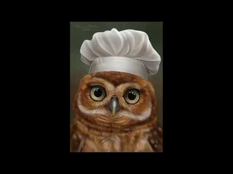 Speedpaint owl chef (