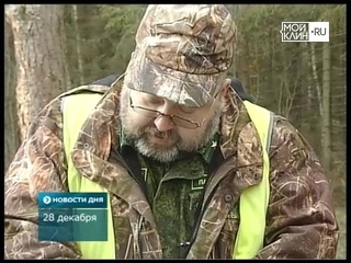 Елочные браконьеры