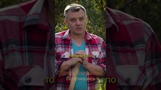 НЕ КОПАЛИ деды и прадеды! СДЕЛАЙ свою землю как хлеб Дачный агроном