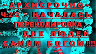 АрхиСРОЧНО ч:2/2 Бог~источник перекодирует ДНК !