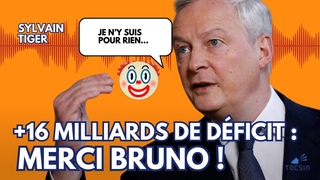 Comment le pouvoir ruine la France pour mieux la vendre  l'Allemagne !
