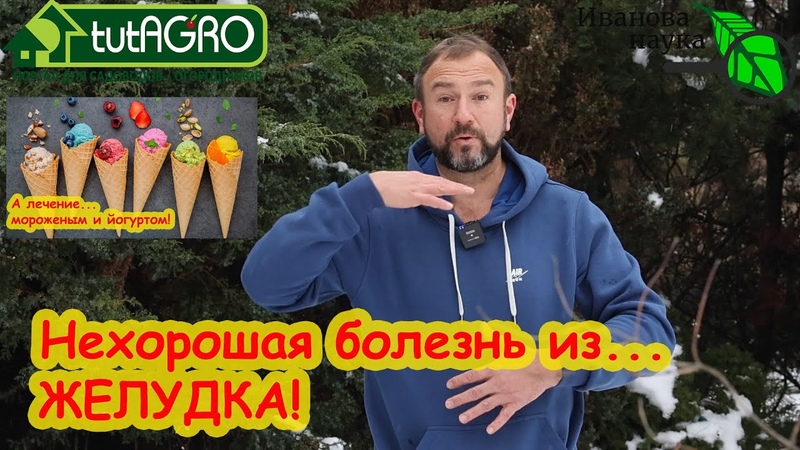 ЭТА БОЛЕЗНЬ ИДЁТ ИЗ ЖЕЛУДКА. Витамин U: не спешите глотать