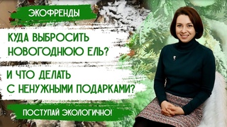 Новый год экологично: Утилизация елок, ненужные подарки  как всё сделать правильно | Экофренды