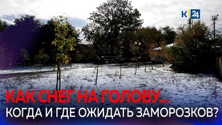 На Кубани выпал первый снег